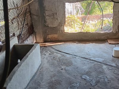 La familia dueña de los perros decomisados: “No estaban abandonados”