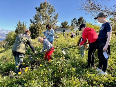 O alumnado de Ardán planta 50 castiñeiros no Monte da Teoira