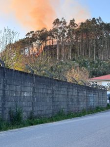 Primer incendio forestal intencionado del año en Cangas