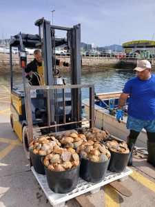 A Xunta destaca o modelo de xestión da Confraría de Cangas baseado na innovación, na diversificación e na investigación