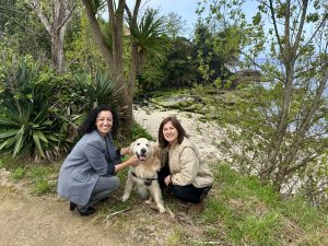 O Goberno local proporá que os cans poidan acceder á Praia da Ribeira no verán