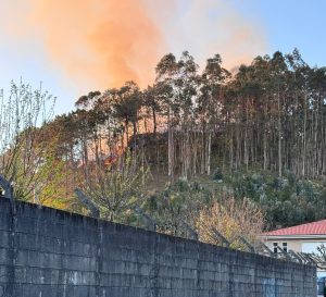 El PP de Cangas denuncia el bloqueo de la limpieza de biomasa y acusa al gobierno local de “negligencia”