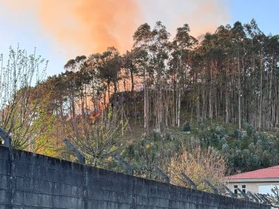O PP denuncia co tripartito non presentou o plan de actuación do convenio de limpeza de faixas da Xunta