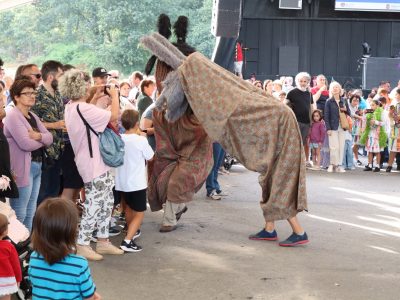Vilaboa, epicentro das Mascaradas tradicionais co VIII Encontro de Entroidos
