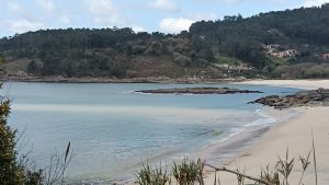 Alertan de un problema de salud pública en la playa de Santa Marta