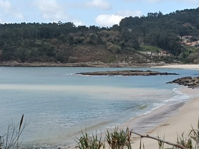 Alertan de un problema de salud pública en la playa de Santa Marta