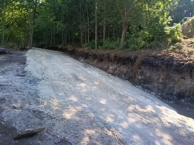 Polémica por una tala para abrir una pista al monte Elefante