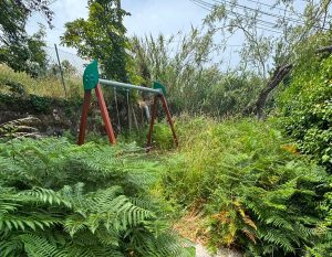 Un parque infantil en el que la hierba se come a los niños
