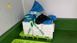 Decomisan pescado y marisco ilegal en el muelle de Bueu