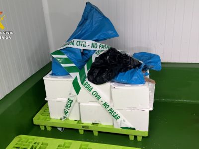 Decomisan pescado y marisco ilegal en el muelle de Bueu