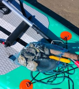 Furtivos se pasan al pádel surf para saquear el marisco moañés