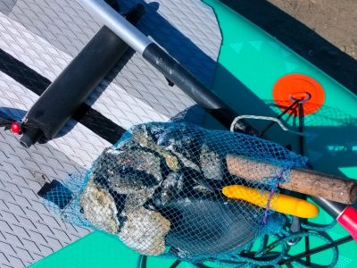Furtivos se pasan al pádel surf para saquear el marisco moañés