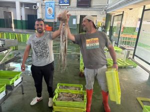 Tímido arranque de la campaña del pulpo tras un año de récord