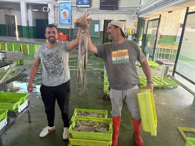 Tímido arranque de la campaña del pulpo tras un año de récord