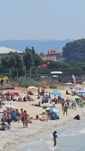 La playa de Rodeira cierra al baño: acumulación de algas o vertido