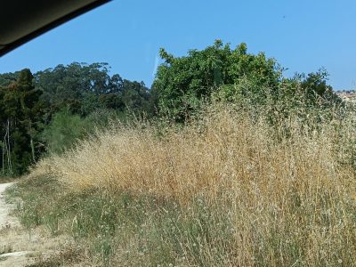 La oposición denuncia el abandono del área de autocaravanas de Achadiza y alerta del aumento de la inseguridad