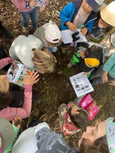 Bueu organiza un verán de actividades medioambientais en Cabo Udra