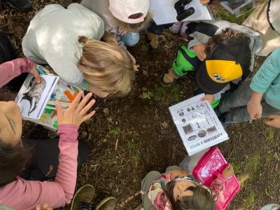 Bueu organiza un verán de actividades medioambientais en Cabo Udra