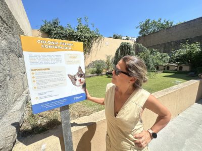 O Plan CER de Marín supera xa os 170 gatos atendidos e consolida a rede de colonias felinas controladas