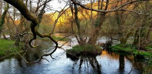 Galicia recuerda que el agua no es un recurso infinito y apela a convertir el ahorro en un hábito diario
