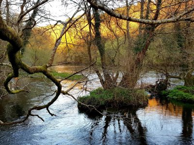 Galicia recuerda que el agua no es un recurso infinito y apela a convertir el ahorro en un hábito diario