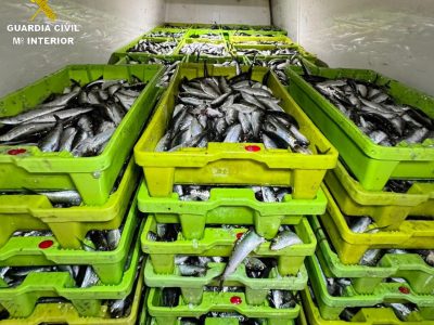 Intervienen más de 2500 kilos de sardina en Aldán