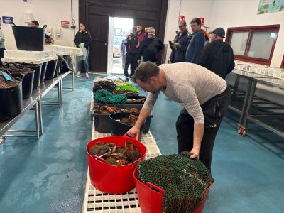 La Cofradía de Cangas, en el mapa nacional de la excelencia