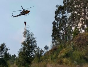 Extinguido el incendio forestal junto a la Torre de Meira