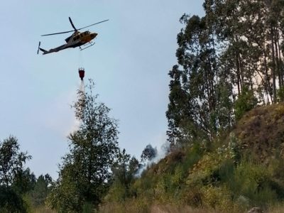 Extinguido el incendio forestal junto a la Torre de Meira