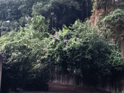 Un enésimo desprendimiento corta el vial A Borna-O Latón
