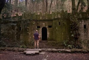 El Bosque Encantado sigue en pausa