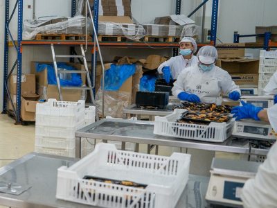 Denuncian sueldos “ínfimos” en Pescados Marcelino