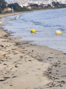 El primer temporal del otoño deja las boyas del balizamiento de Cangas varadas y a la deriva