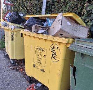 Una plaga de ratas atemoriza a los vecinos de la rúa Freixo